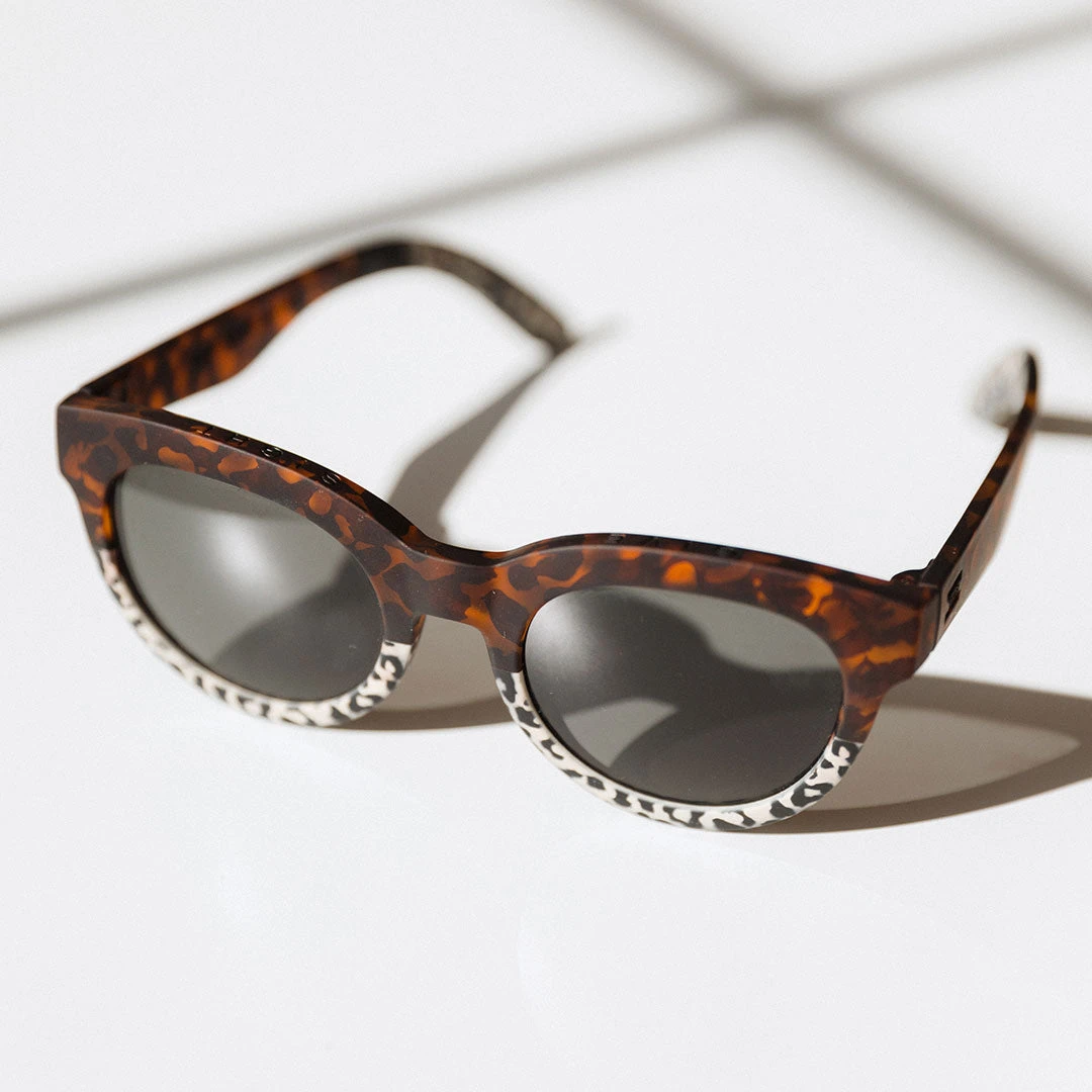 Toms Tom's Albion Florentine 9 Toms Tom's Albion Florentine - Image 7