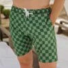 Wind And Sea Shorts, Green Check -Albionfit Store 369A7569final 1