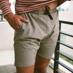 Wind And Sea Shorts, Brindle