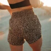 Pursuit Lunge Shorts -Albionfit Store LUNGE SHORTS PURSUIT 2