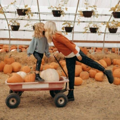 Spooky Jetsetters -Albionfit Store SPOOKY JETSETTERS 6